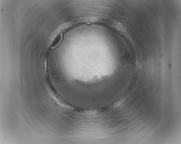 X0000052930110200507221131