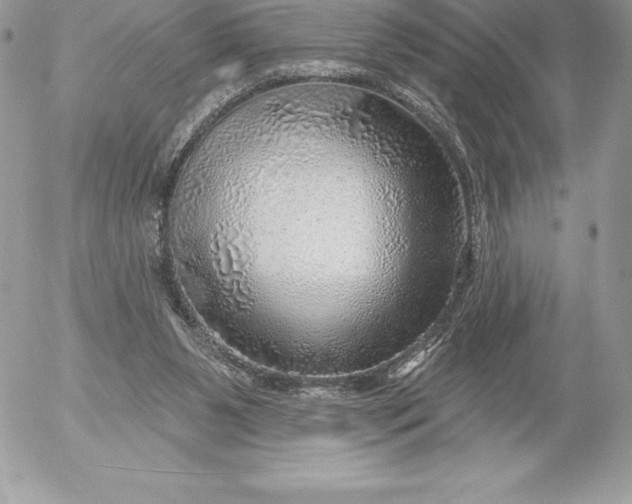 X0000052930111200507221131