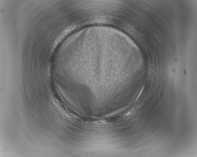 X0000052930112200507221131