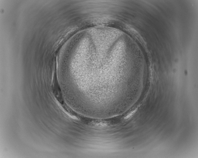 X0000052930113200507221131