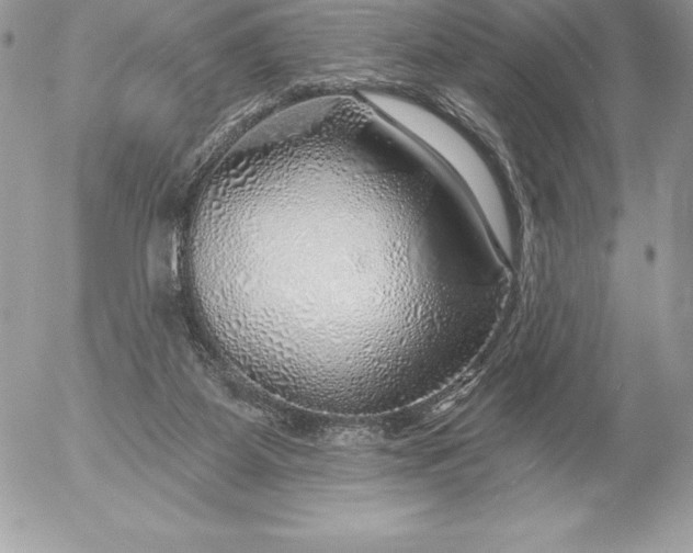 X0000052930115200507221131