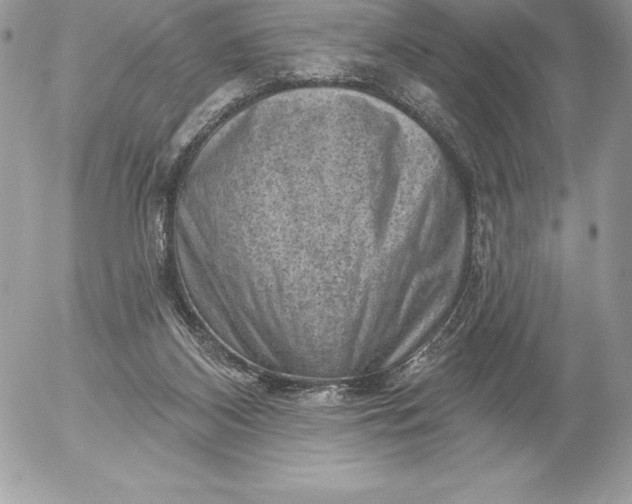 X0000052930116200507221131