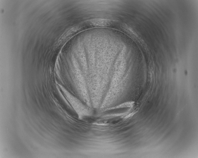 X0000052930117200507221131