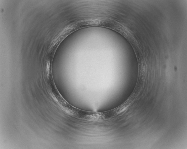 X0000052930118200507221131