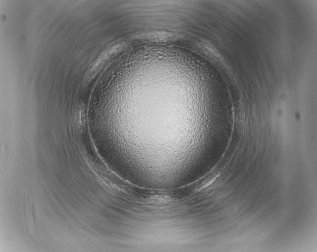 X0000052930119200507221131