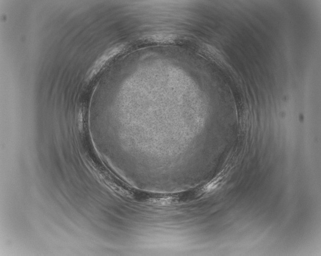 X0000052930120200507221131