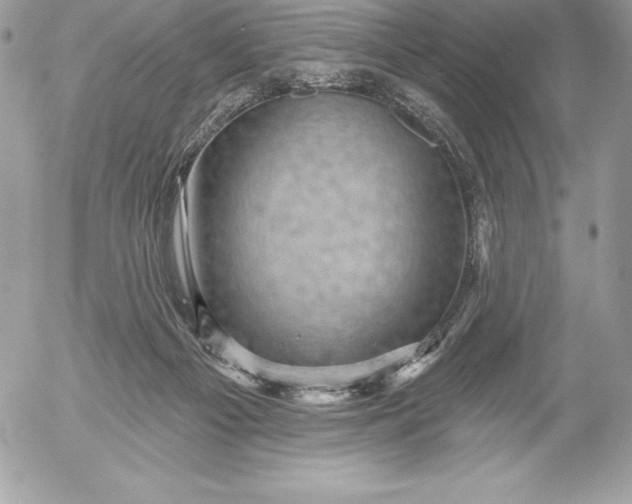 X0000052930121200507221131