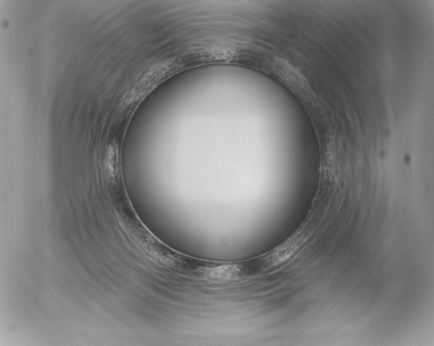 X0000052930122200507221131