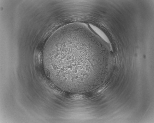 X0000052930123200507221131