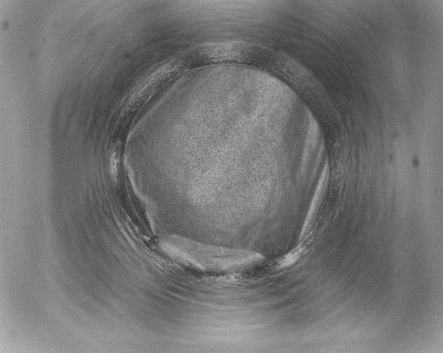 X0000052930124200507221131