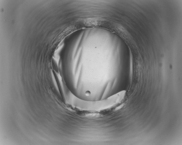 X0000052930125200507221131