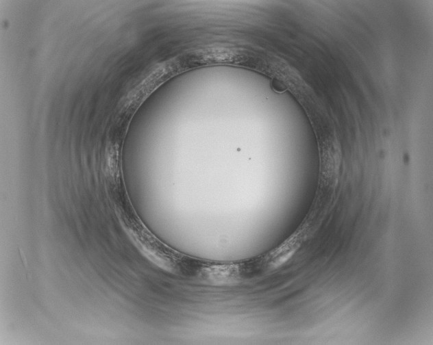 X0000052930126200507221131