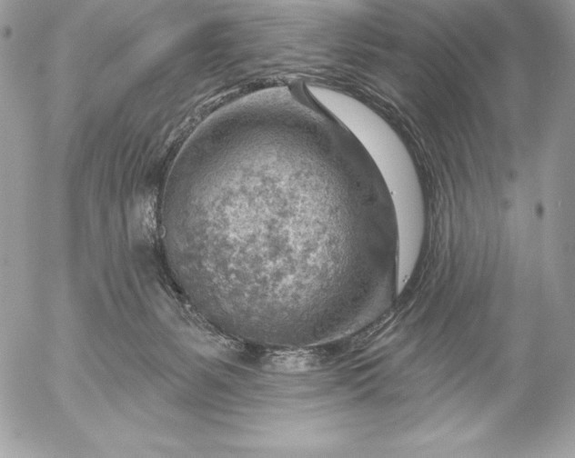 X0000052930127200507221131