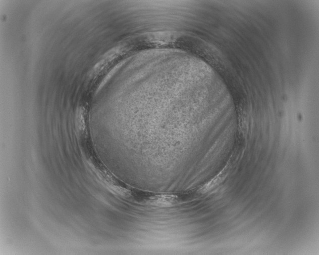 X0000052930128200507221131