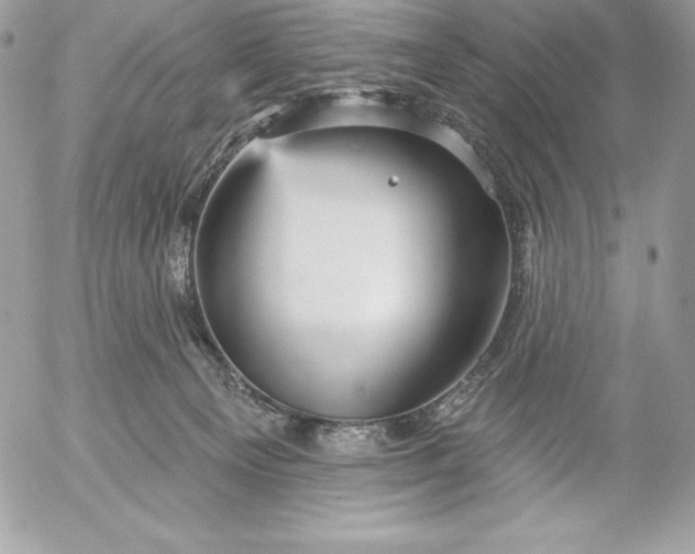 X0000052930129200507221131