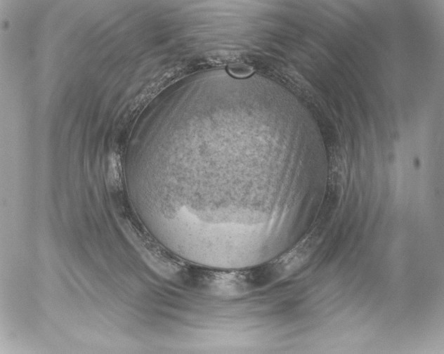 X0000052930130200507221131