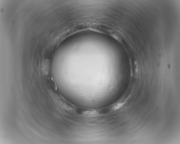 X0000052930133200507221131