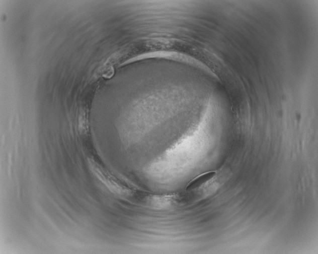 X0000052930134200507221131