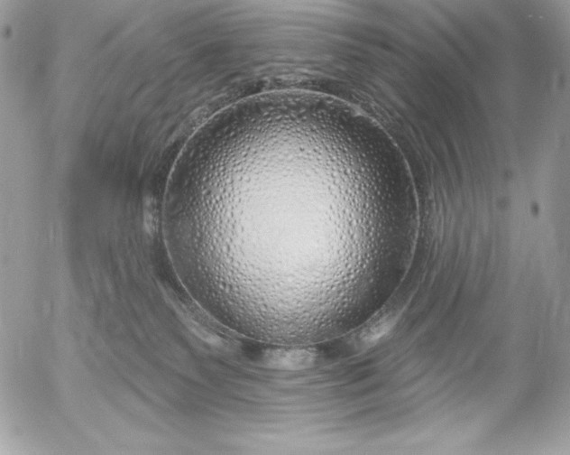 X0000052930135200507221131