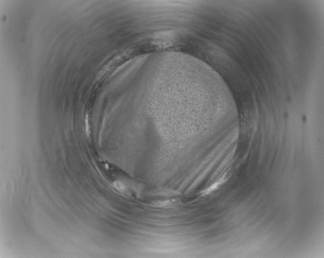 X0000052930136200507221131