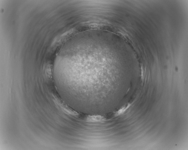 X0000052930137200507221131