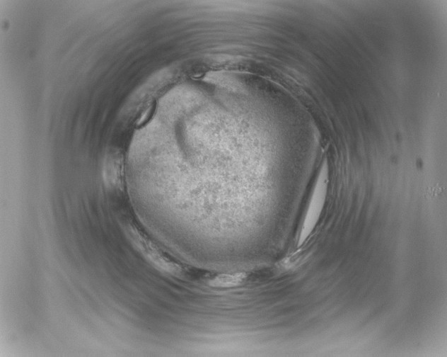 X0000052930138200507221131