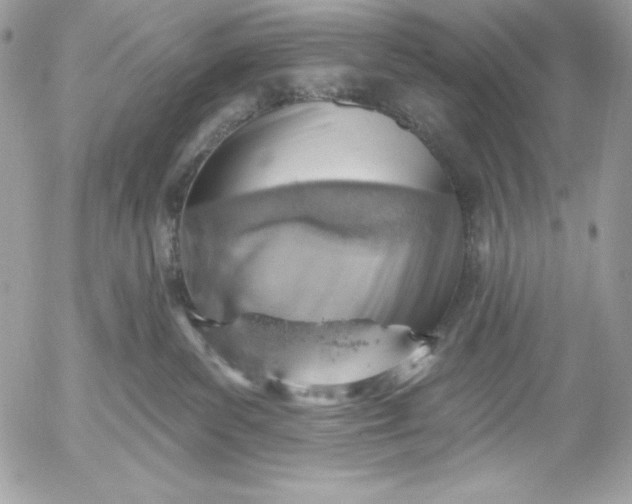 X0000052930139200507221131