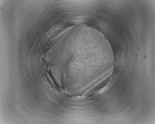 X0000052930140200507221131