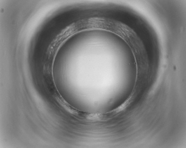 X0000052930142200507221131