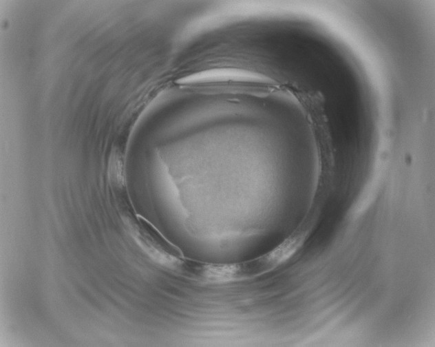 X0000052930143200507221131