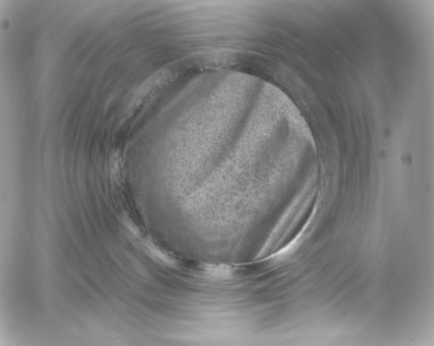 X0000052930144200507221131