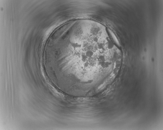 X0000052930145200507221130