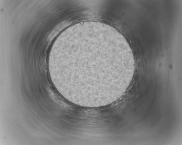 X0000052930146200507221130