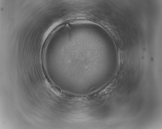 X0000052930147200507221130