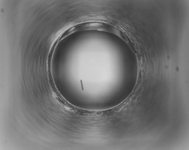 X0000052930148200507221130