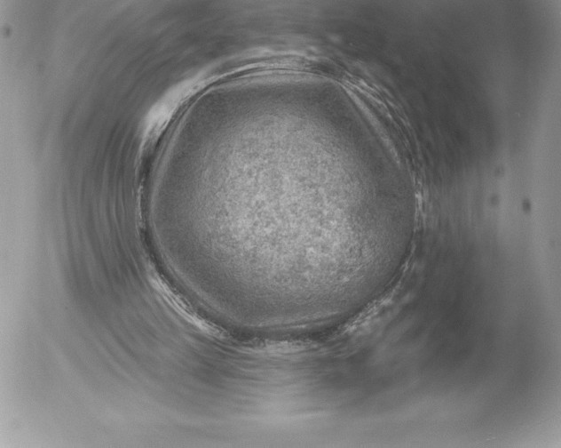 X0000052930149200507221130