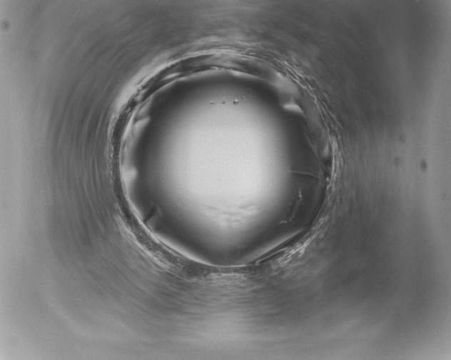 X0000052930150200507221130