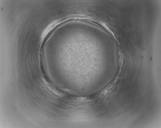 X0000052930151200507221130