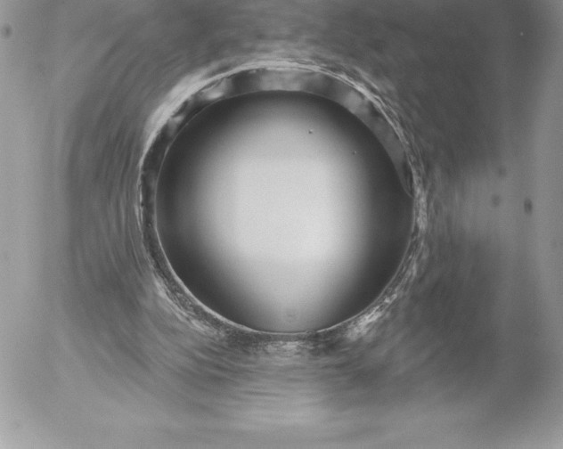 X0000052930152200507221130