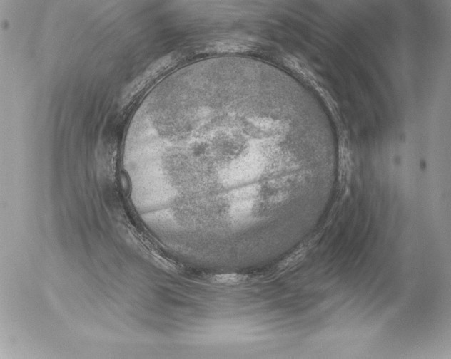 X0000052930153200507221130