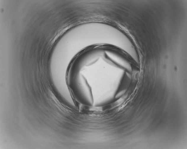 X0000052930154200507221130