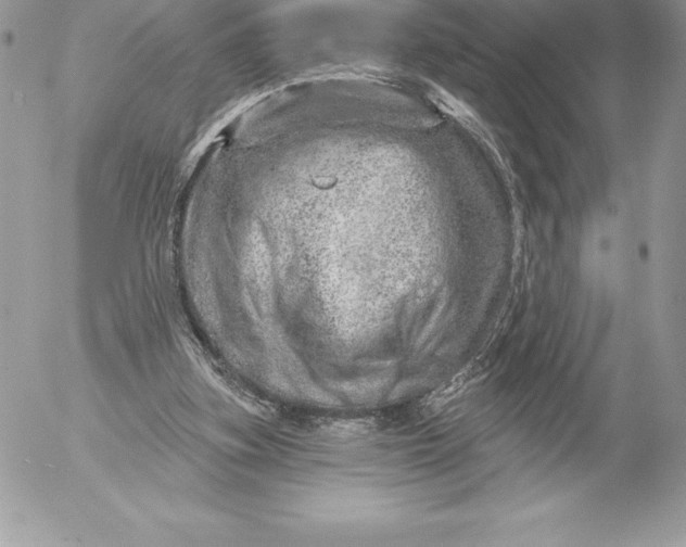 X0000052930155200507221130