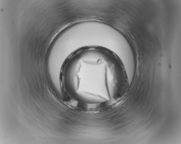 X0000052930156200507221130