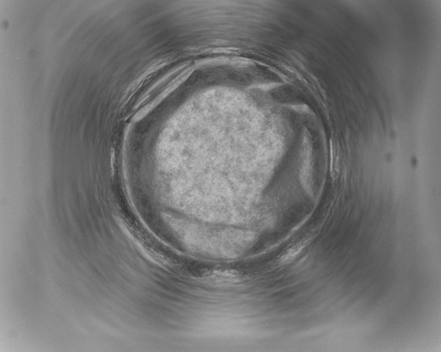 X0000052930157200507221130