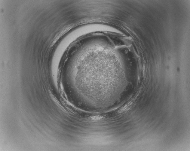 X0000052930158200507221130