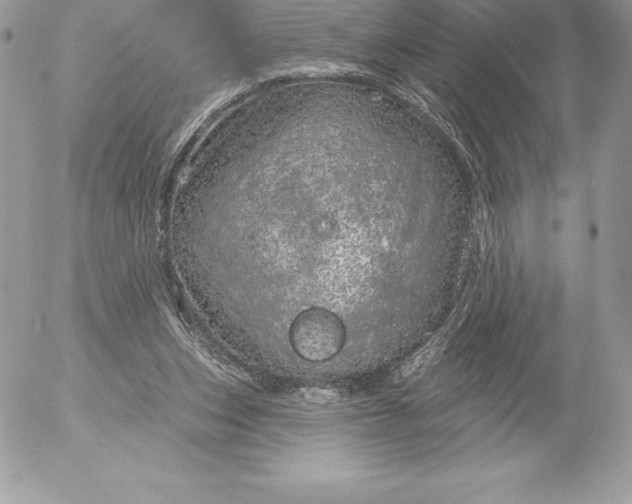 X0000052930159200507221130