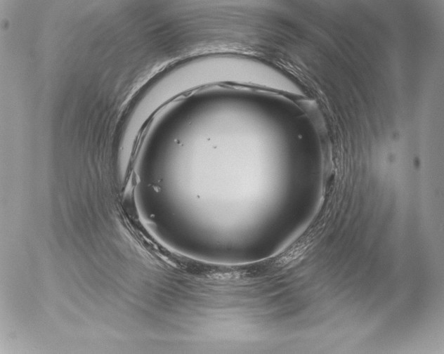 X0000052930160200507221130