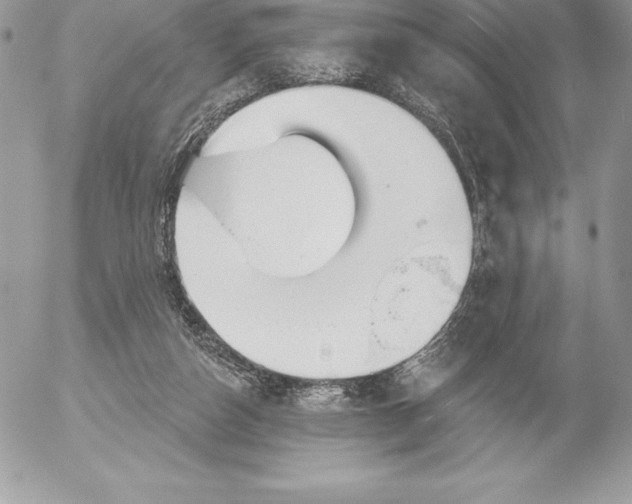 X0000052930162200507221130