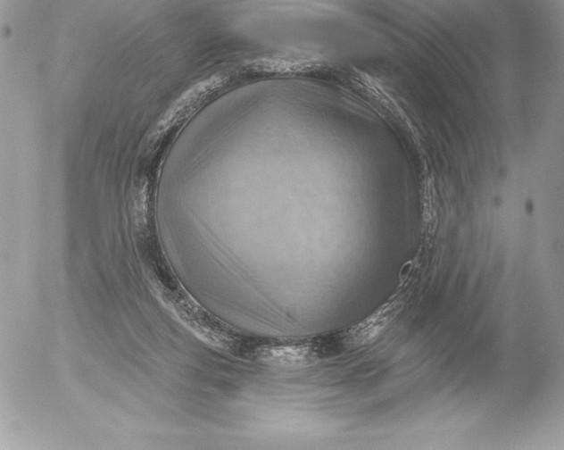 X0000052930163200507221130