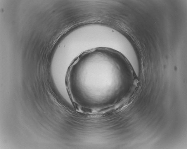 X0000052930164200507221130